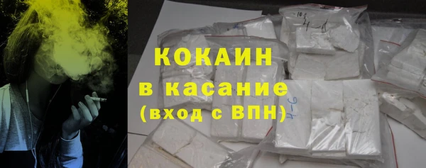хмурый Алексин