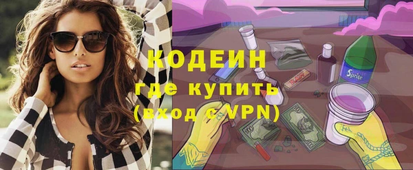 хмурый Алексин