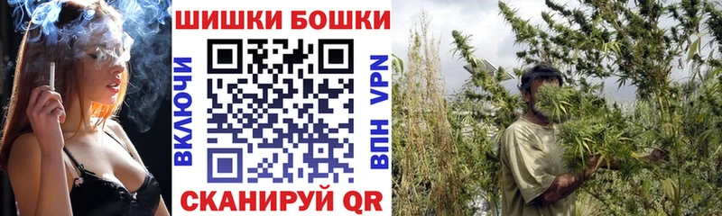ОМГ ОМГ tor  Бакал  Канабис план 